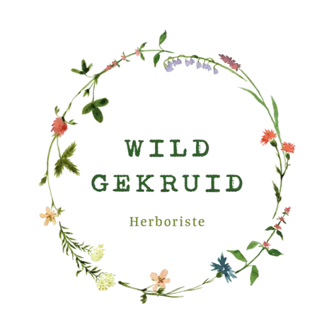 WildGekruid Logo